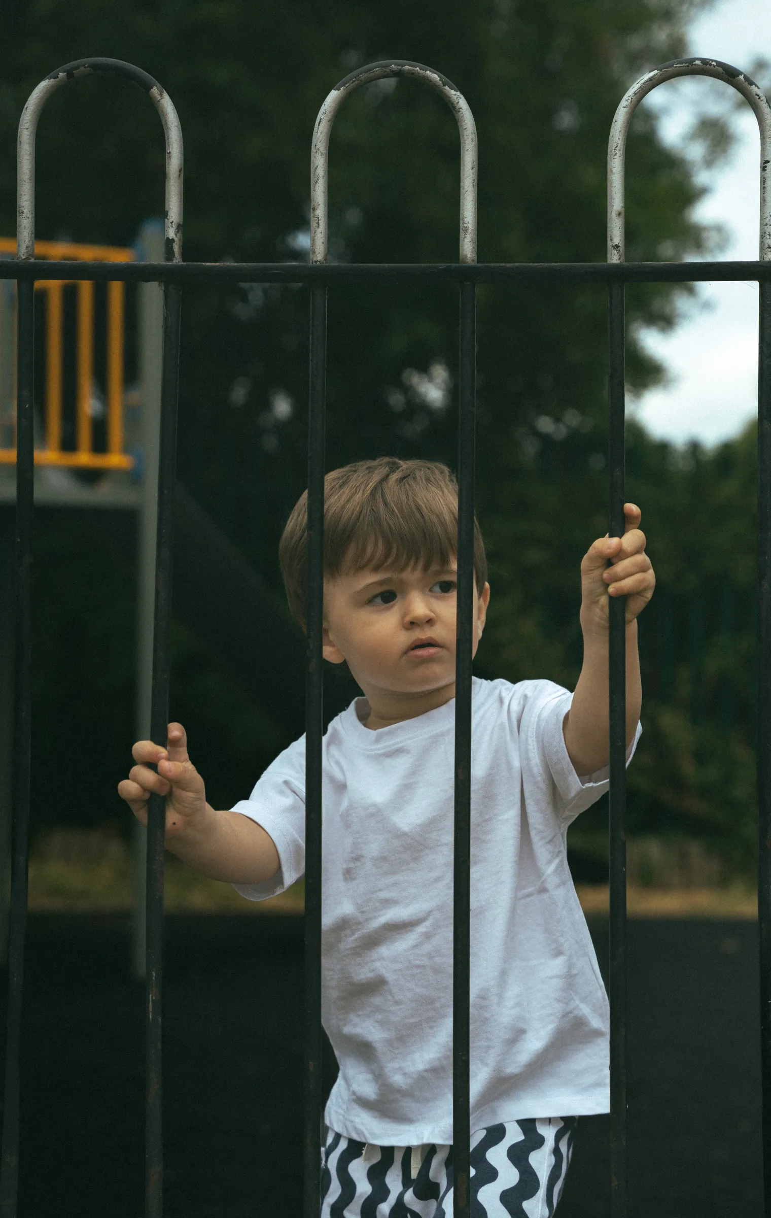 A young boy holding onto a park railing, framed by trees