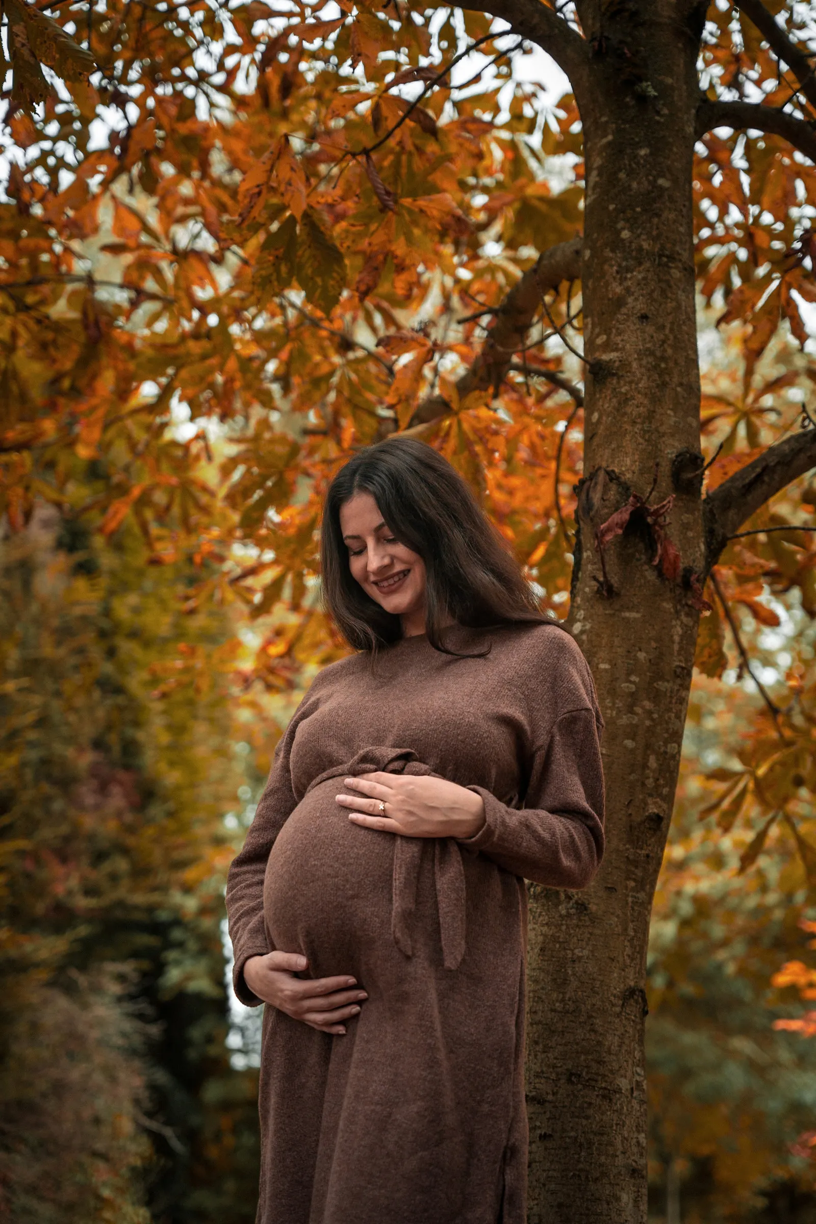 Maternity portrait beneath an oak tree in full autumn colour
