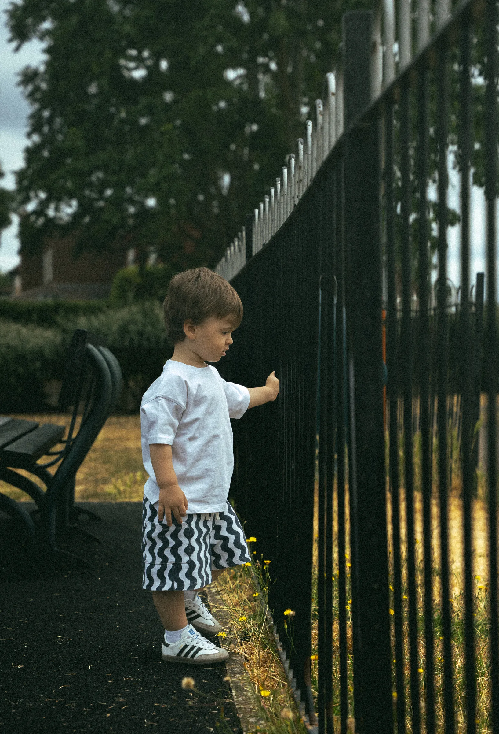 A young boy climbing along a park fence in golden evening light